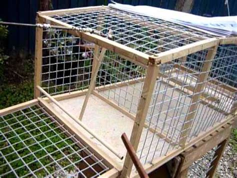 goldfinch traps for sale uk.